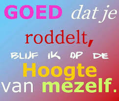 roddelen2