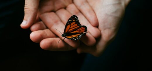 swingen ongemakkelijk help