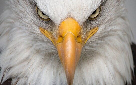 privacy swingers dating holland